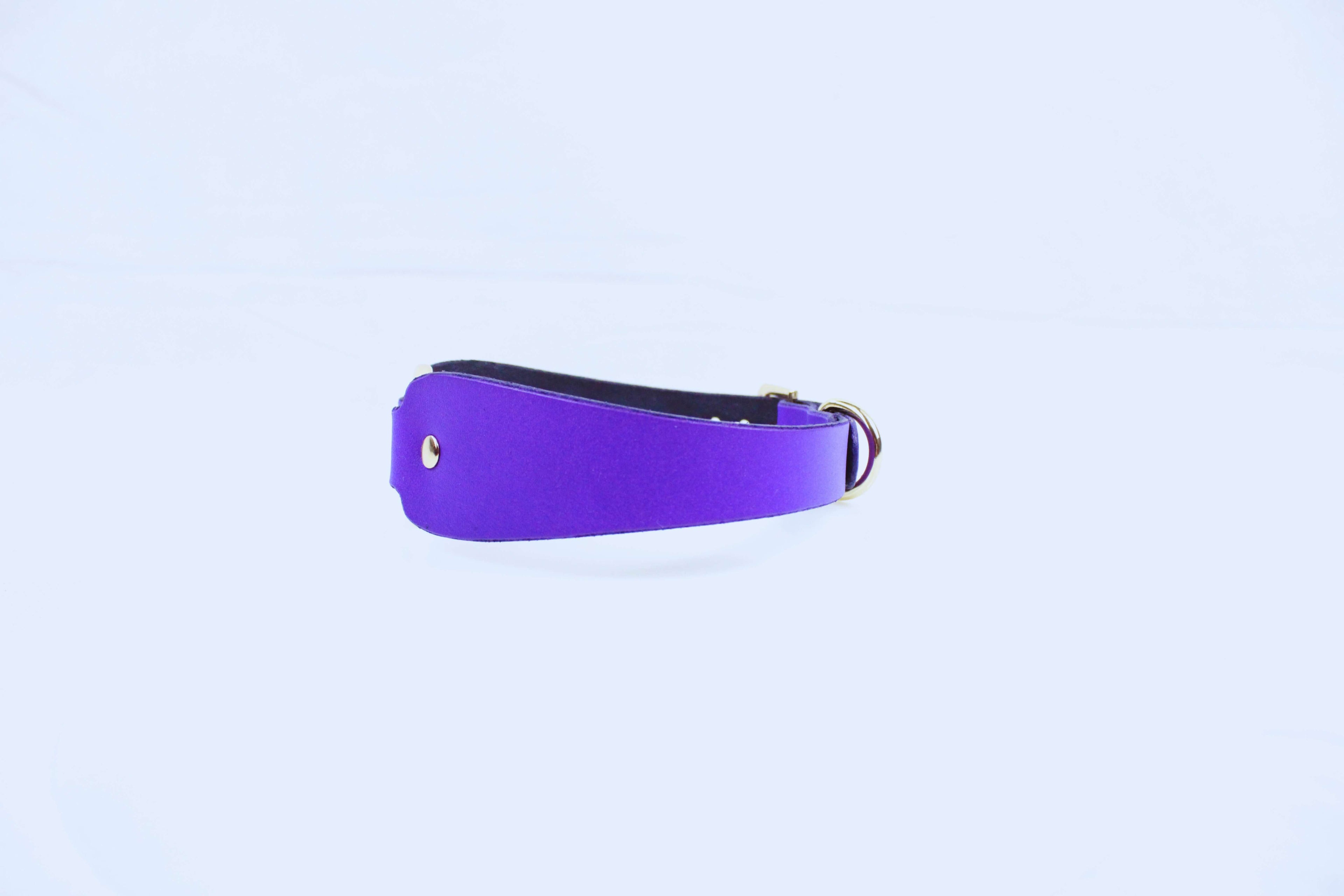 Submissive Collar with Ring in purple, discreet day collar jewelry symbolizing devotion and trust.
