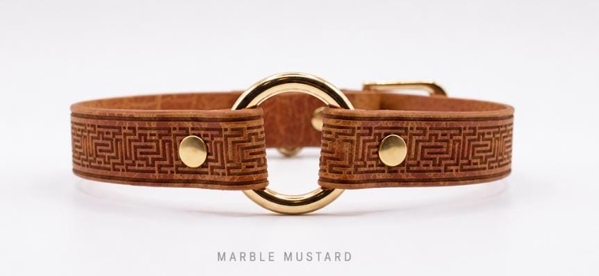 A brown leather collar with a gold metal buckle and a marble mustard pattern.