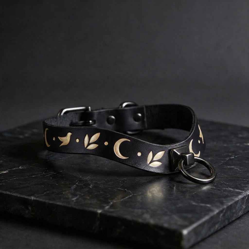 A black leather collar with a silver metal ring and a decorative pattern of leaves and crescent moons on it, resting on a dark surface.