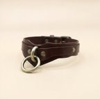 A brown leather choker collar with metal rings and buckles.