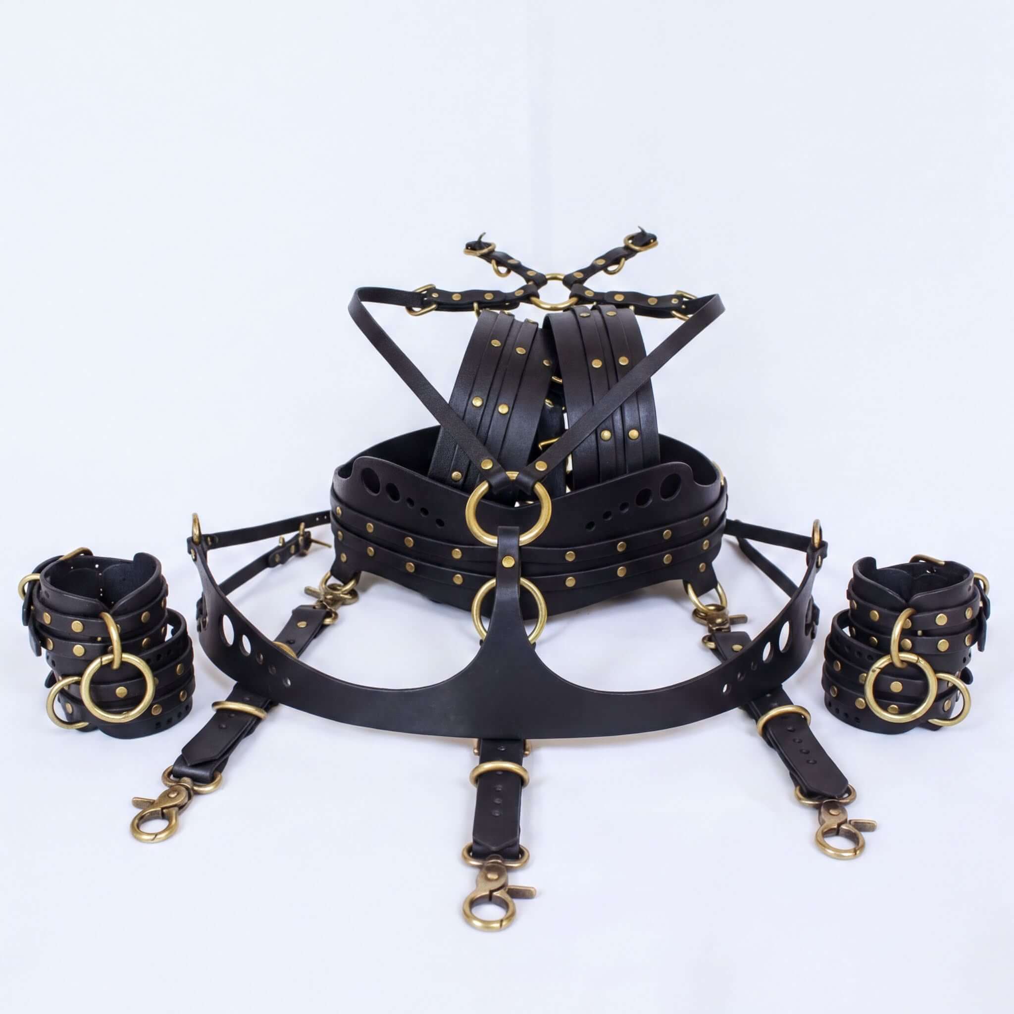 A collection of black leather straps and buckles with gold-colored studs, arranged in a way that suggests they are part of a harness or other protective gear.