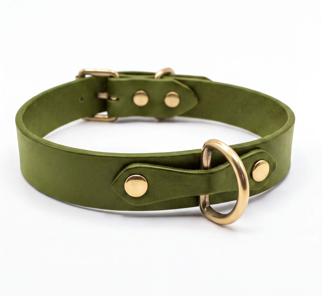 A green leather dog collar with a gold-colored metal buckle and ring.