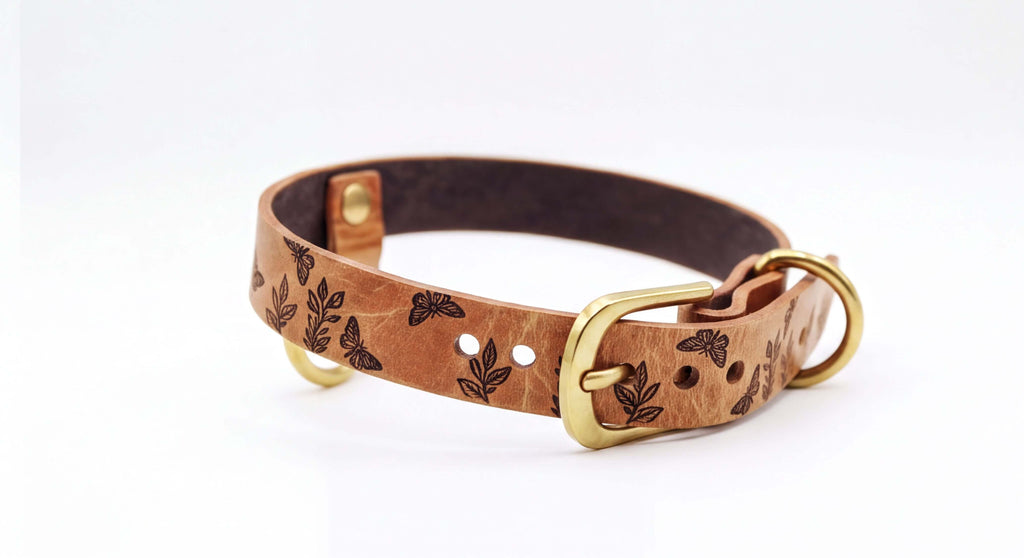 A brown leather dog collar with a floral pattern and a gold buckle.