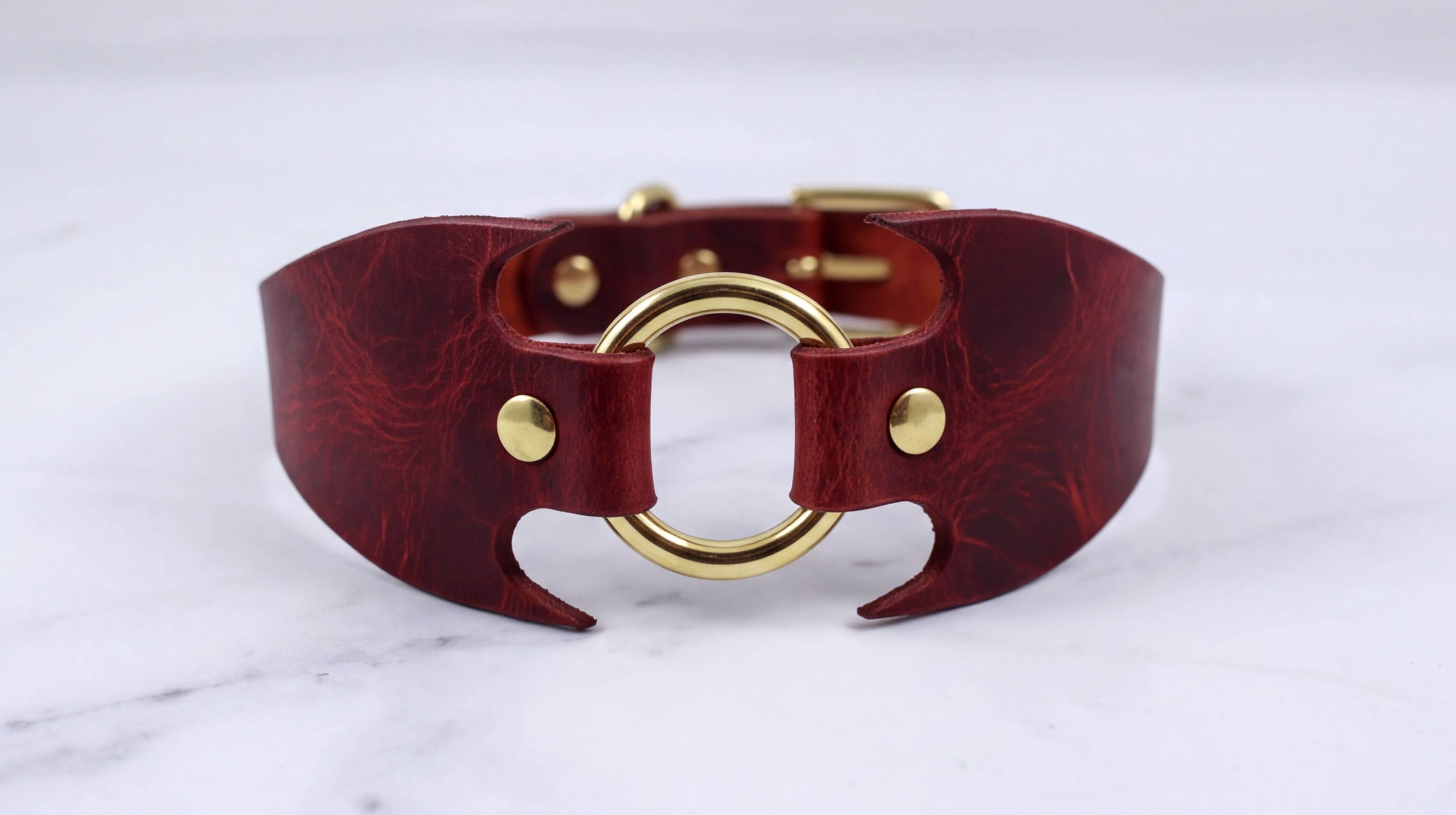 A burgundy leather collar with a gold-colored metal ring and buckle.