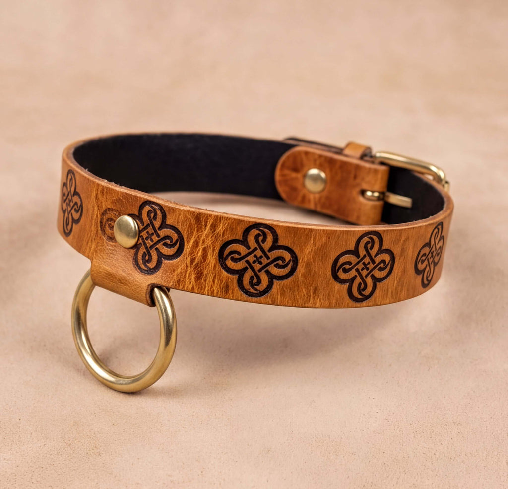 A brown leather dog collar with a black leather buckle and a gold-colored metal ring.