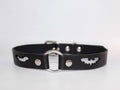 A black leather collar with a silver buckle and bat-shaped cutouts.