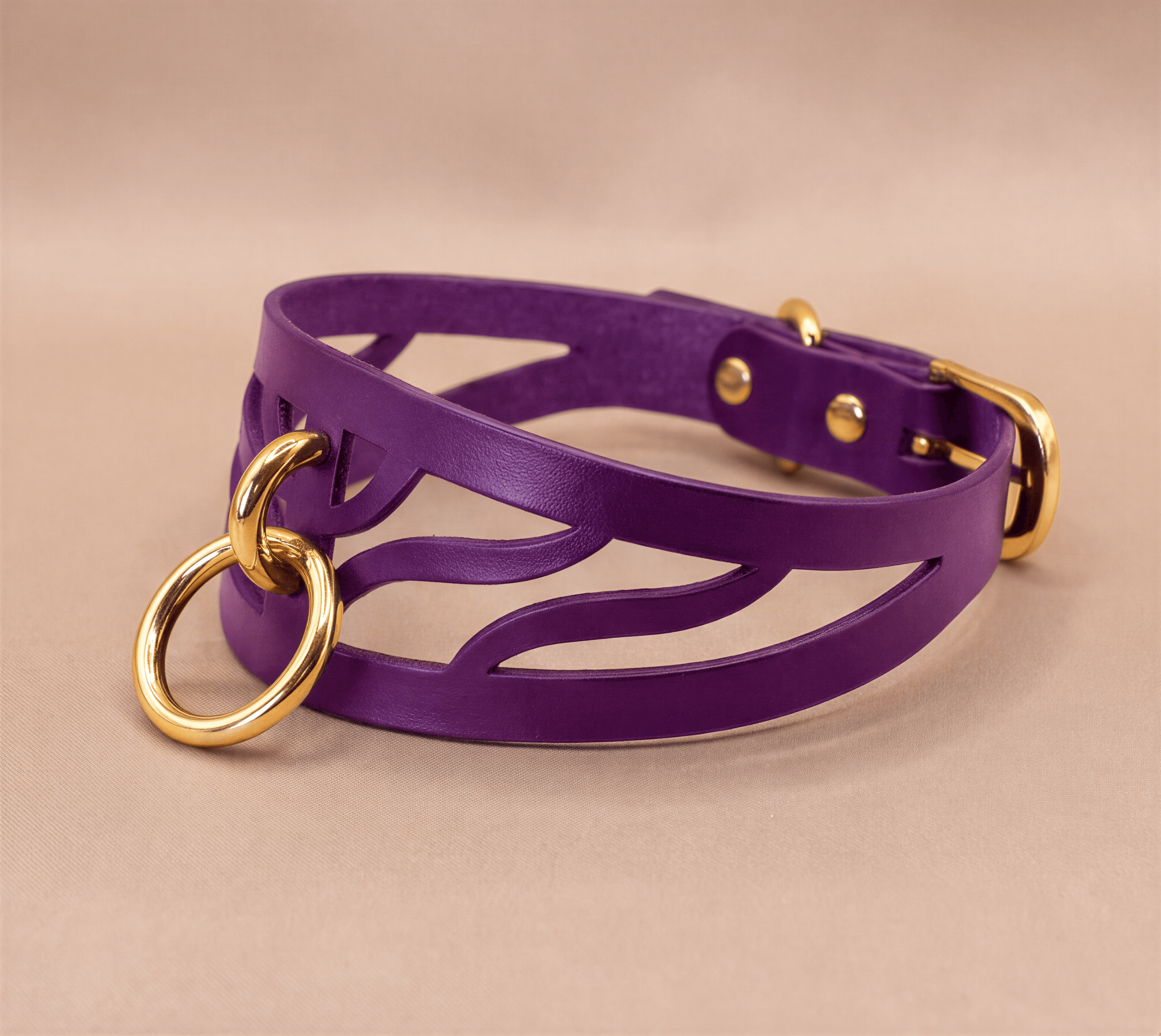 A purple leather choker collar with a gold-colored metal ring and buckle.