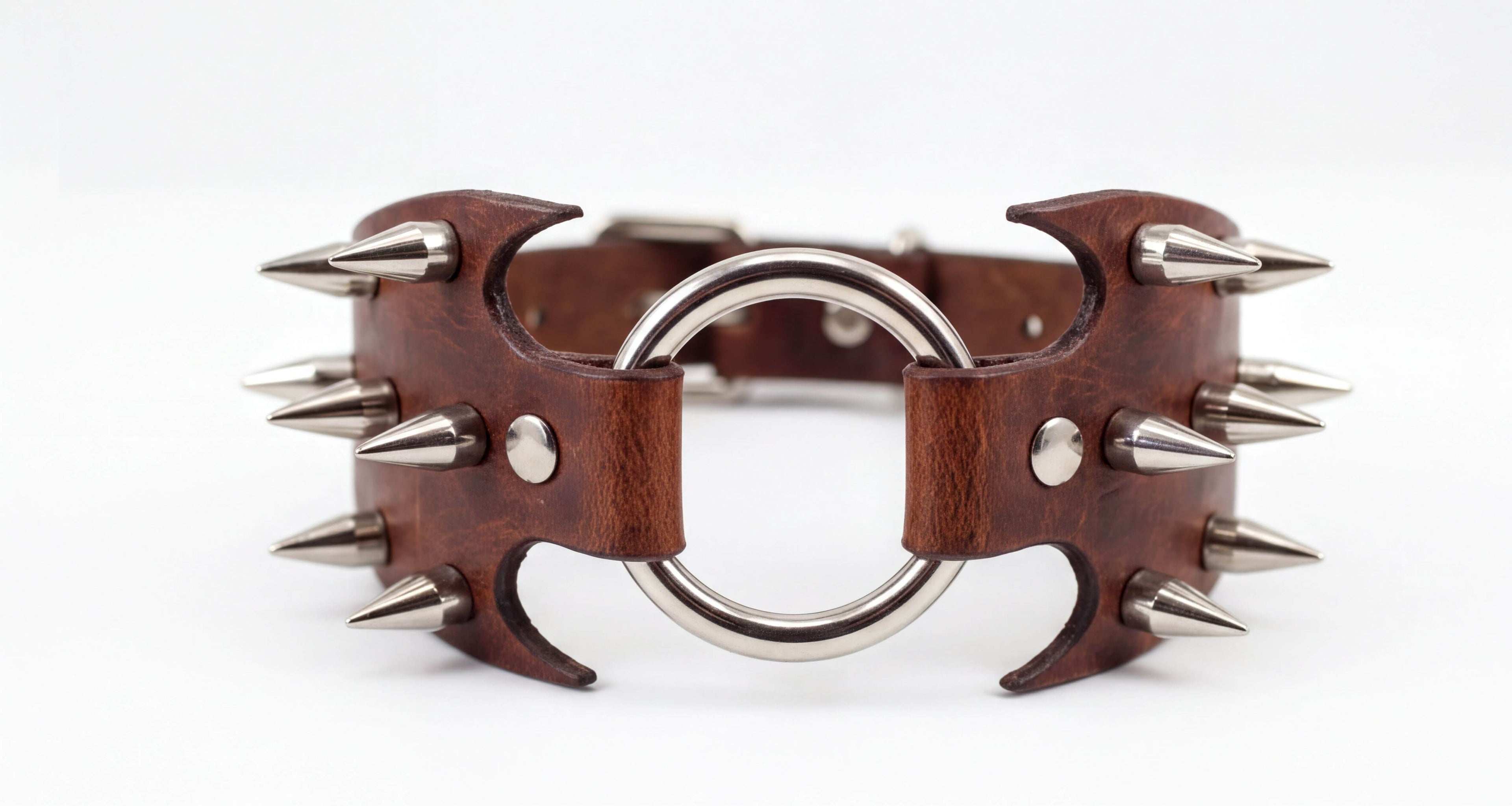 A brown leather collar with spikes protruding from it, and a metal ring in the center.