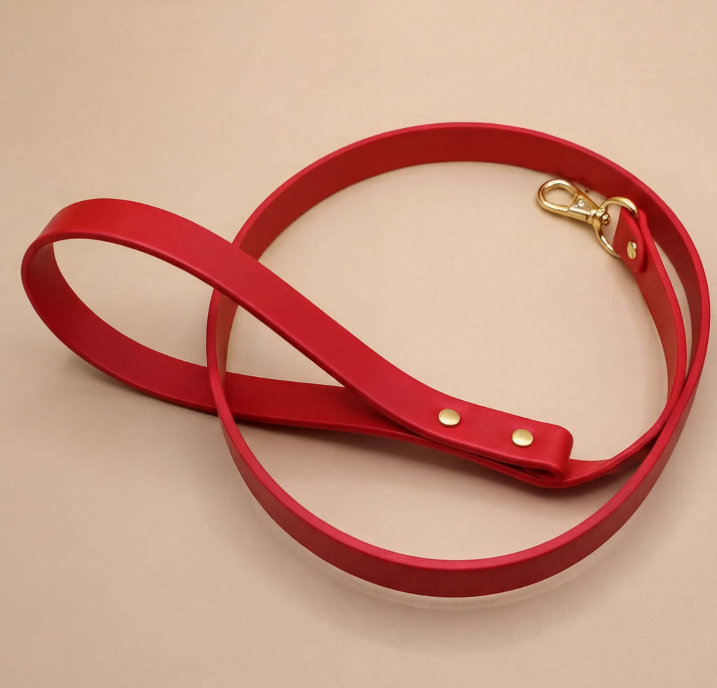 A red leather dog leash with a gold-colored buckle is shown on a beige background.