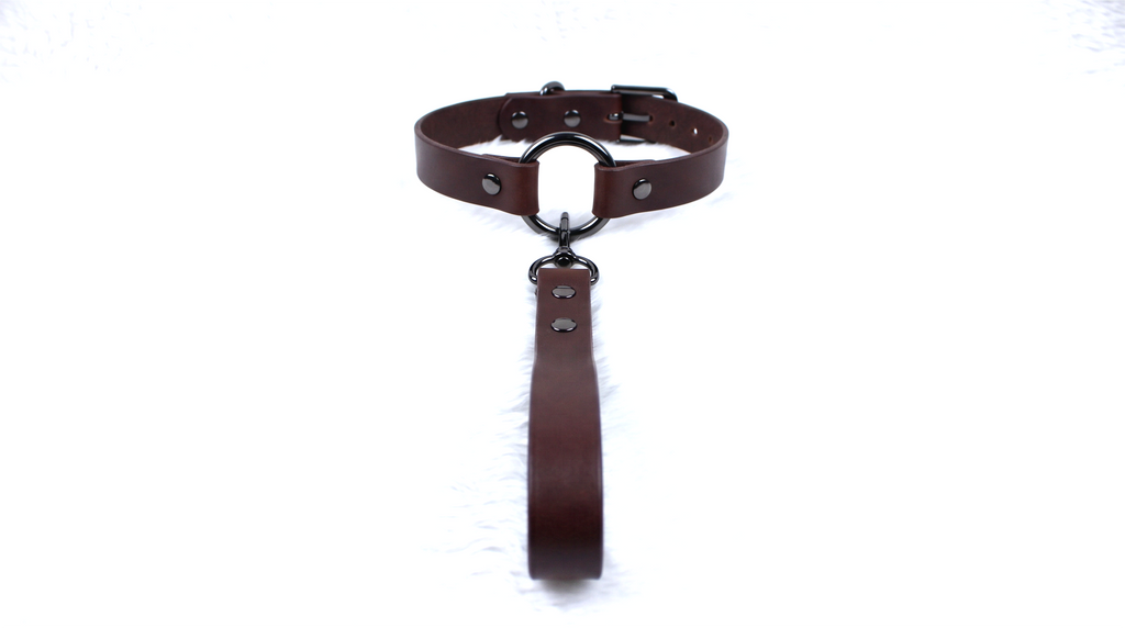A brown leather collar with a metal buckle and a leather leash attached to it.