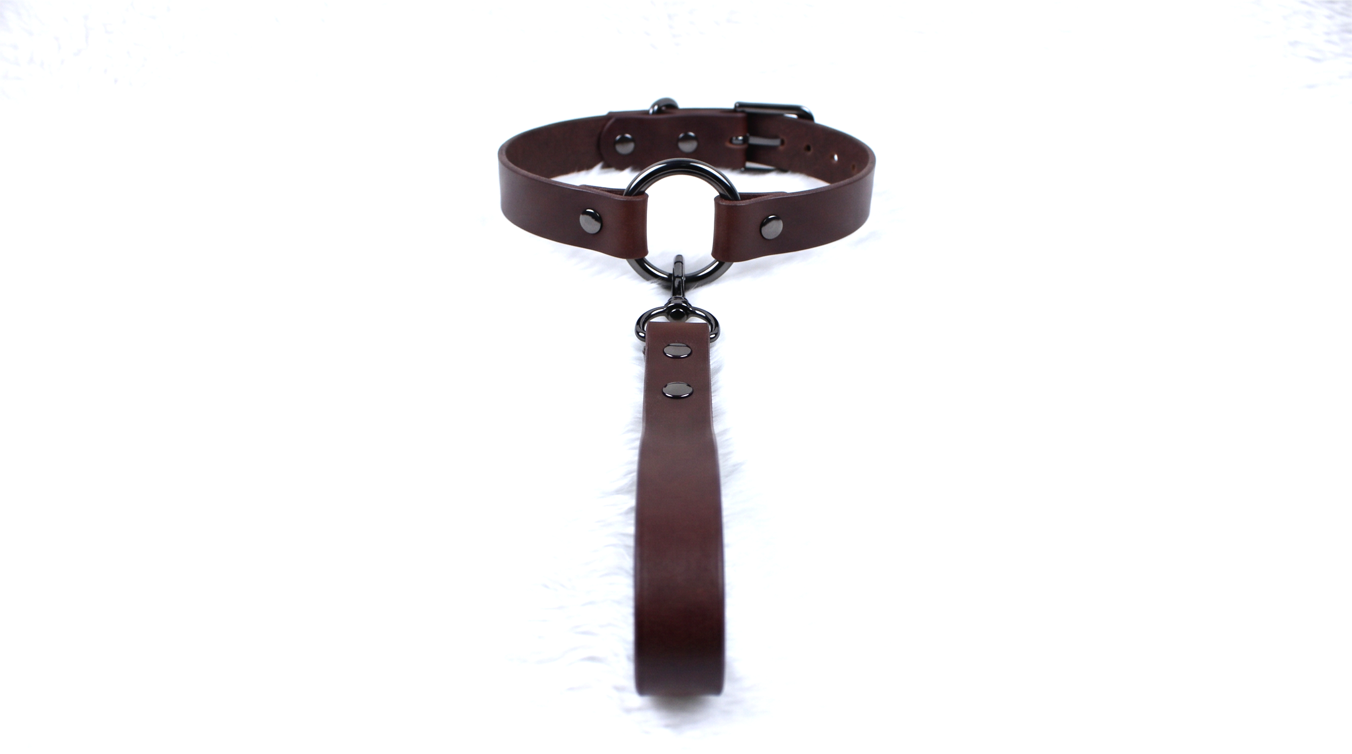 A brown leather collar with a metal buckle and a leather leash attached to it.