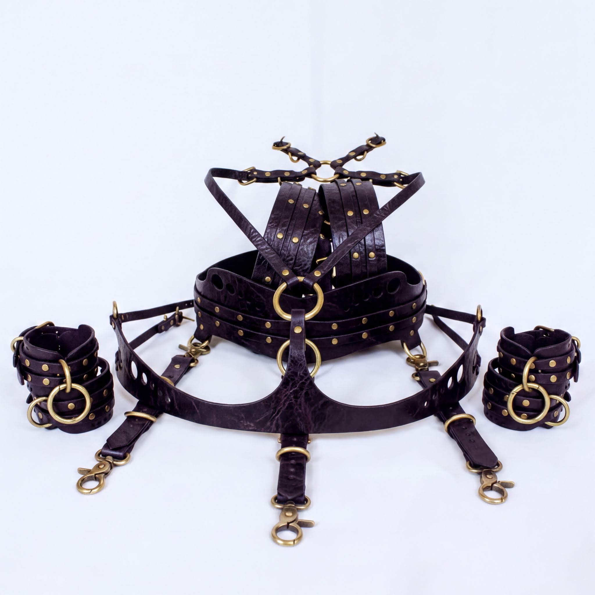 A set of leather straps and buckles, likely used for BDSM or BDSM-related activities.