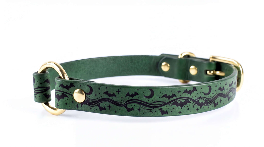 A green leather dog collar with a bat and star design printed on it.