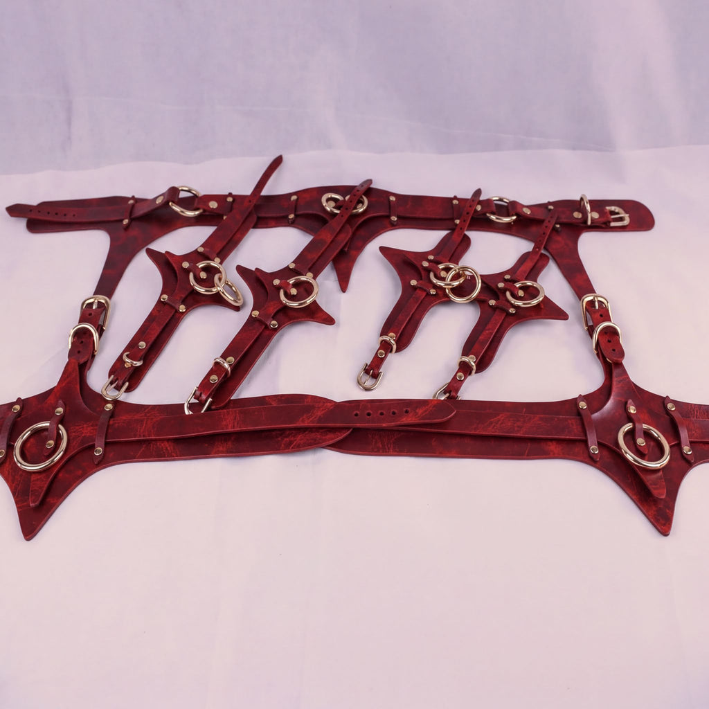 A collection of red leather straps with metal rings and buckles, arranged in a grid-like pattern.