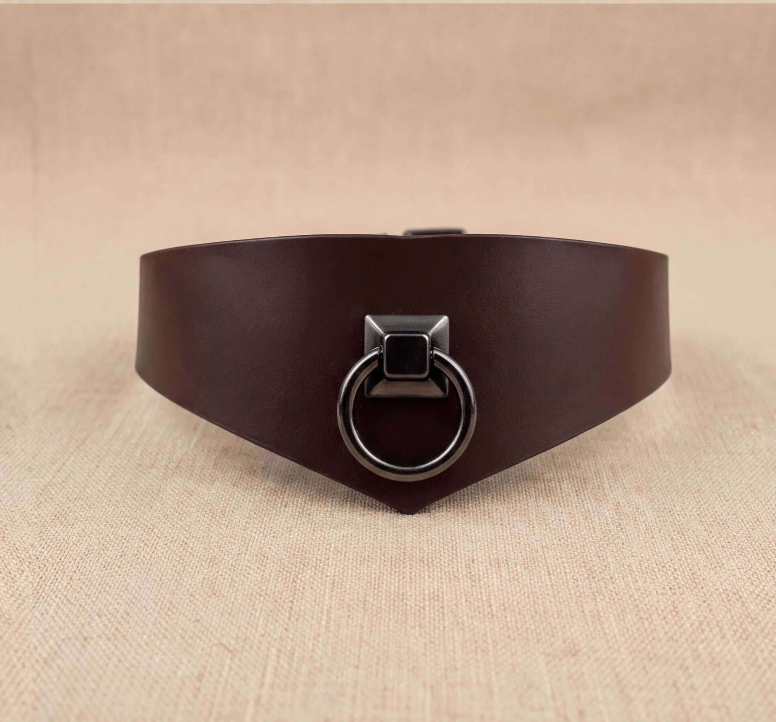 A brown leather choker necklace with a metal ring and a square-shaped metal piece on the front.