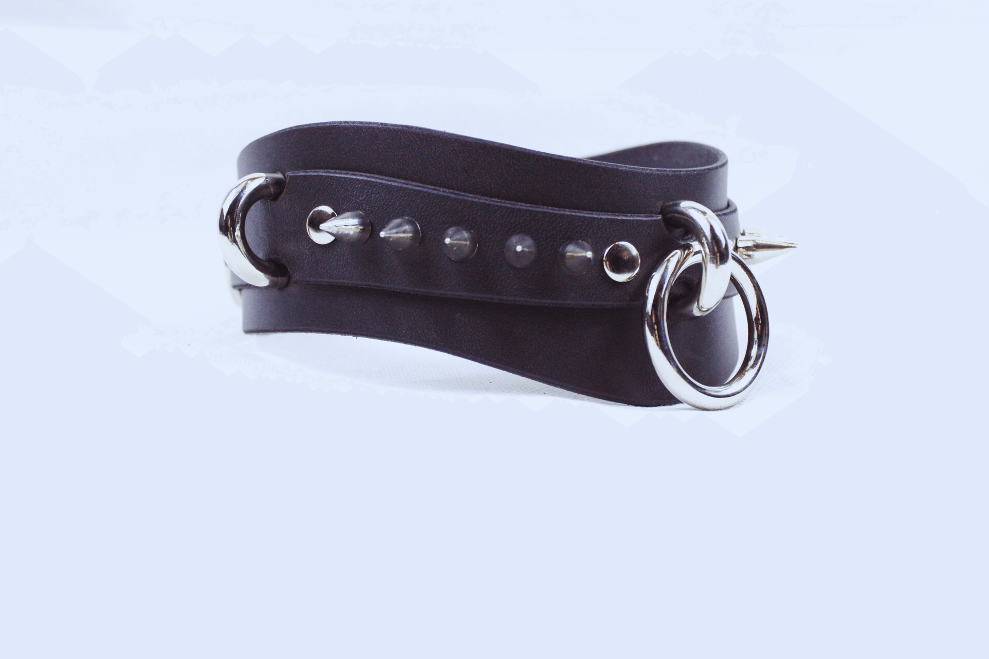 Obsidian BDSM Collar featuring dual stainless-steel rings and premium matte black leather design.