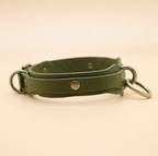 A green leather collar with metal rings and buckles.