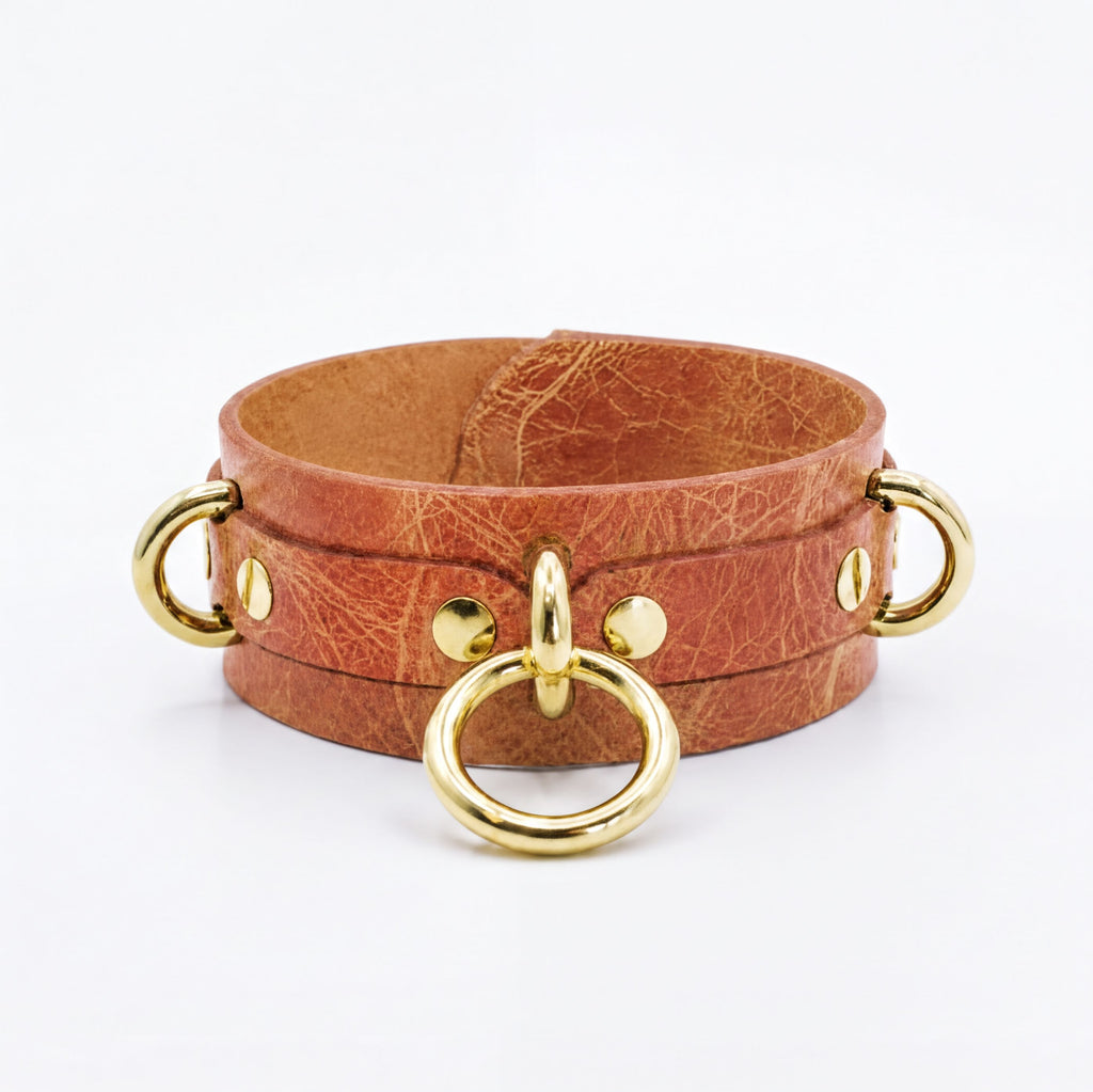 A brown leather choker necklace with gold metal rings and a metal clasp.