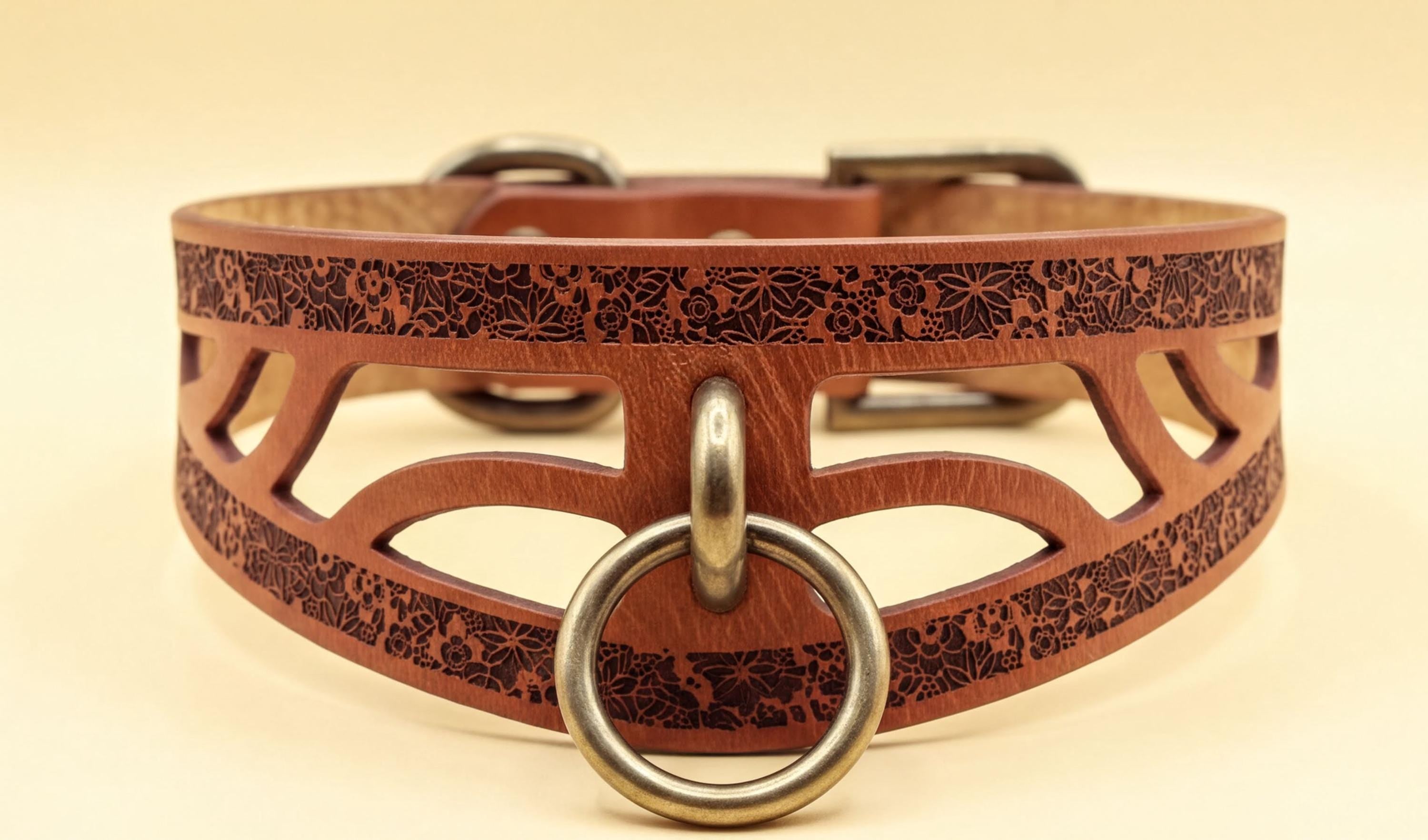 A close-up image of a brown leather collar with a metal ring and a decorative pattern on the surface.