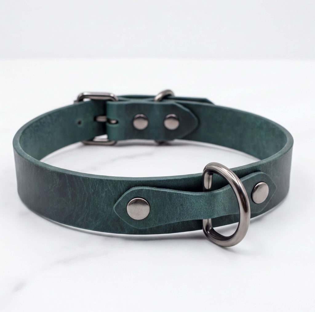 A dark green leather dog collar with metal hardware, including a buckle and two metal rings, is shown against a white background.