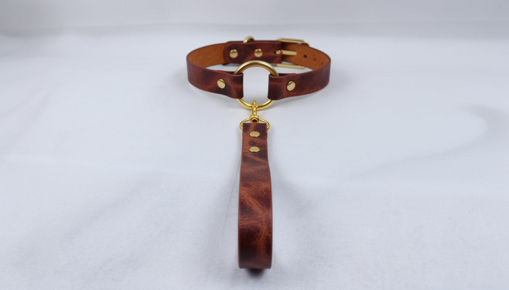 A brown leather collar with a gold-colored buckle and a handle attached to it, resting on a white surface.
