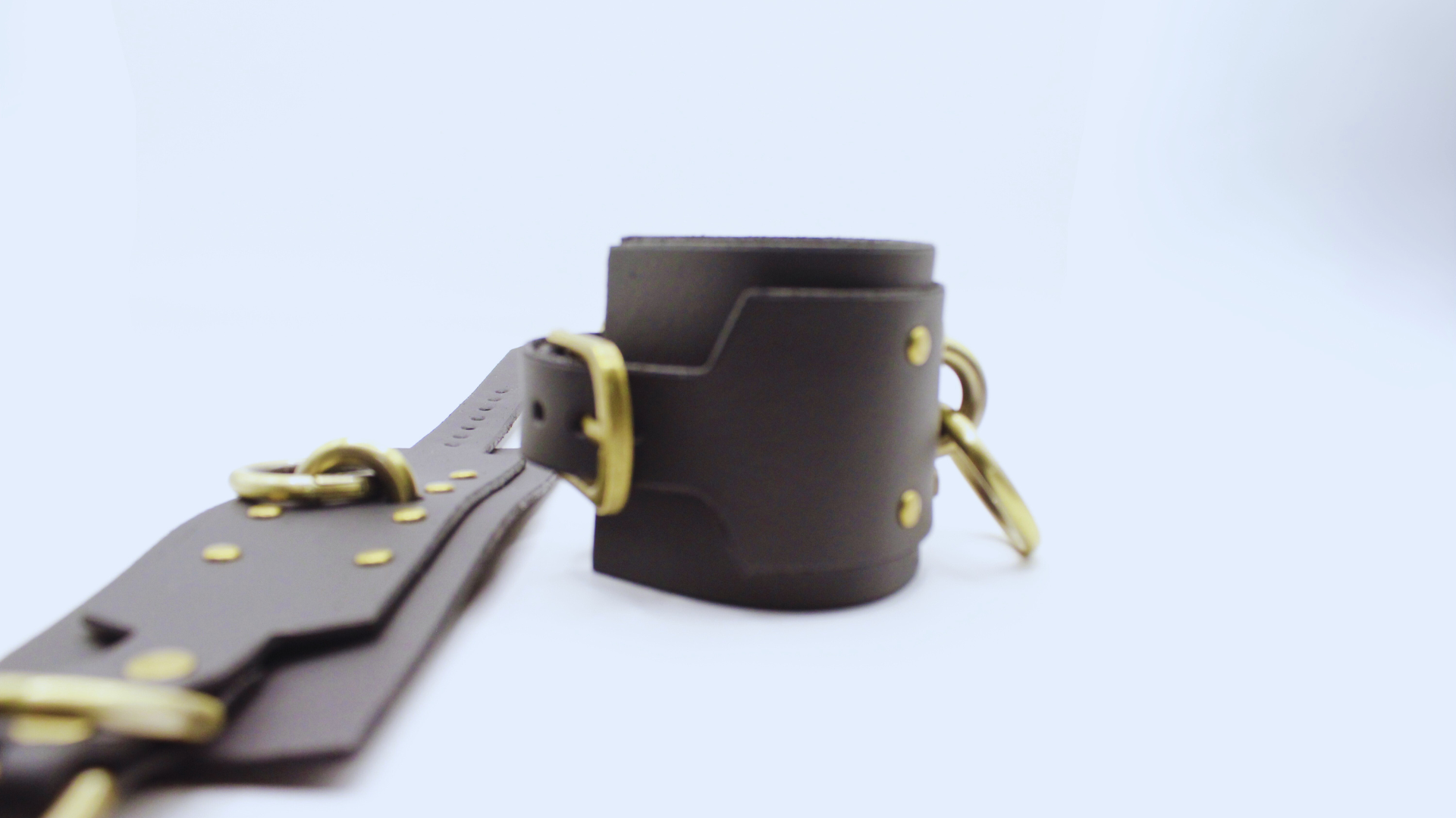 A black leather strap with gold hardware, such as buckles and clasps, is shown against a white background.