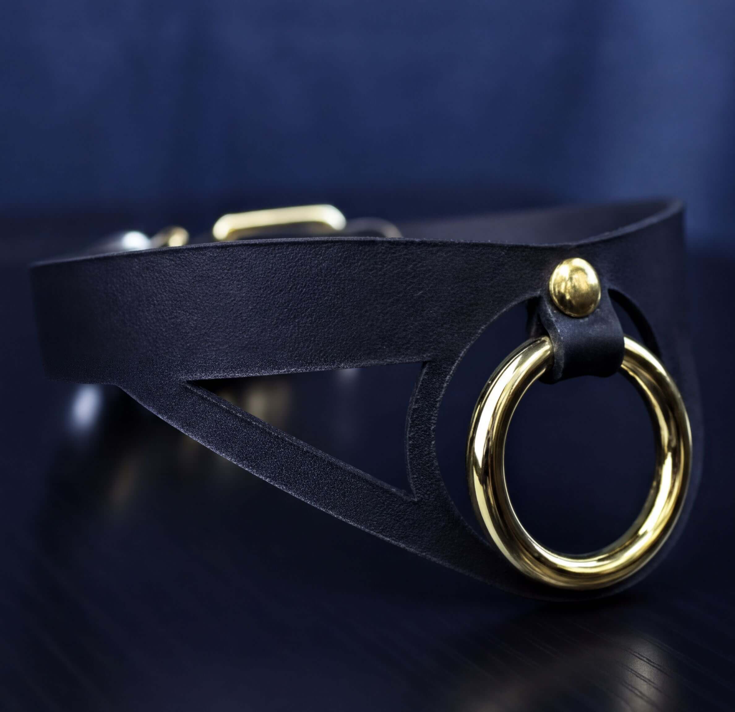A close-up view of a black leather choker necklace with a gold-colored circular clasp.