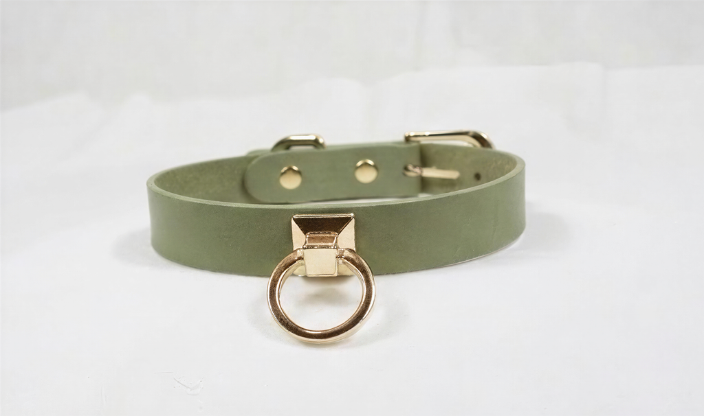 A green leather choker necklace with a gold-colored metal clasp and a round metal ring.