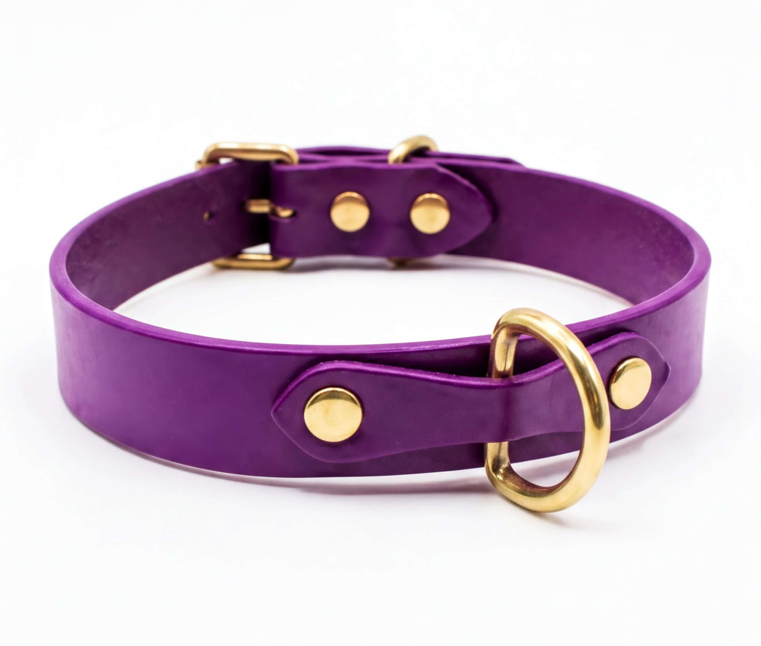 A purple leather dog collar with a gold-colored buckle and ring.