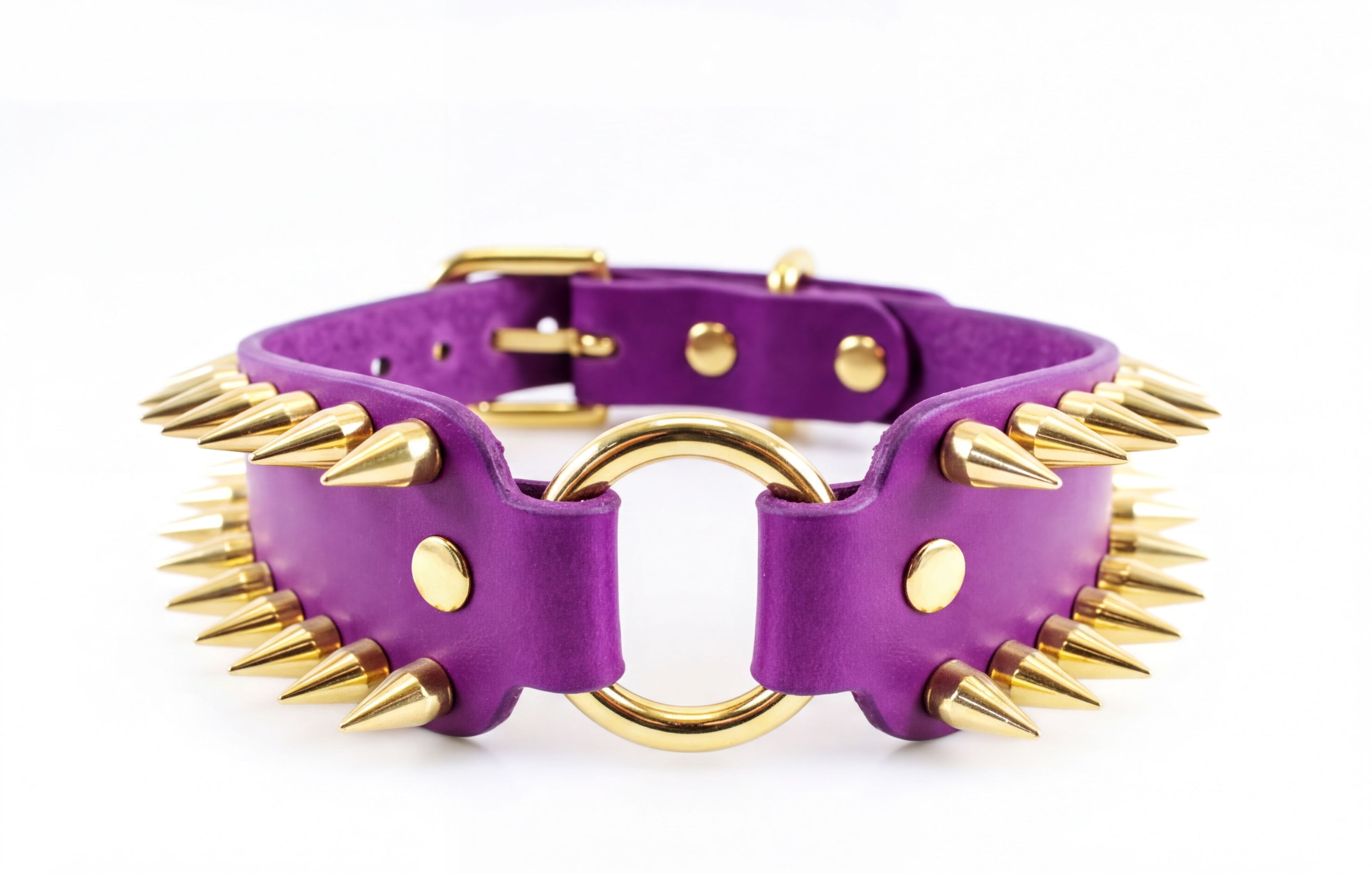 A purple leather collar with gold spikes protruding from it.