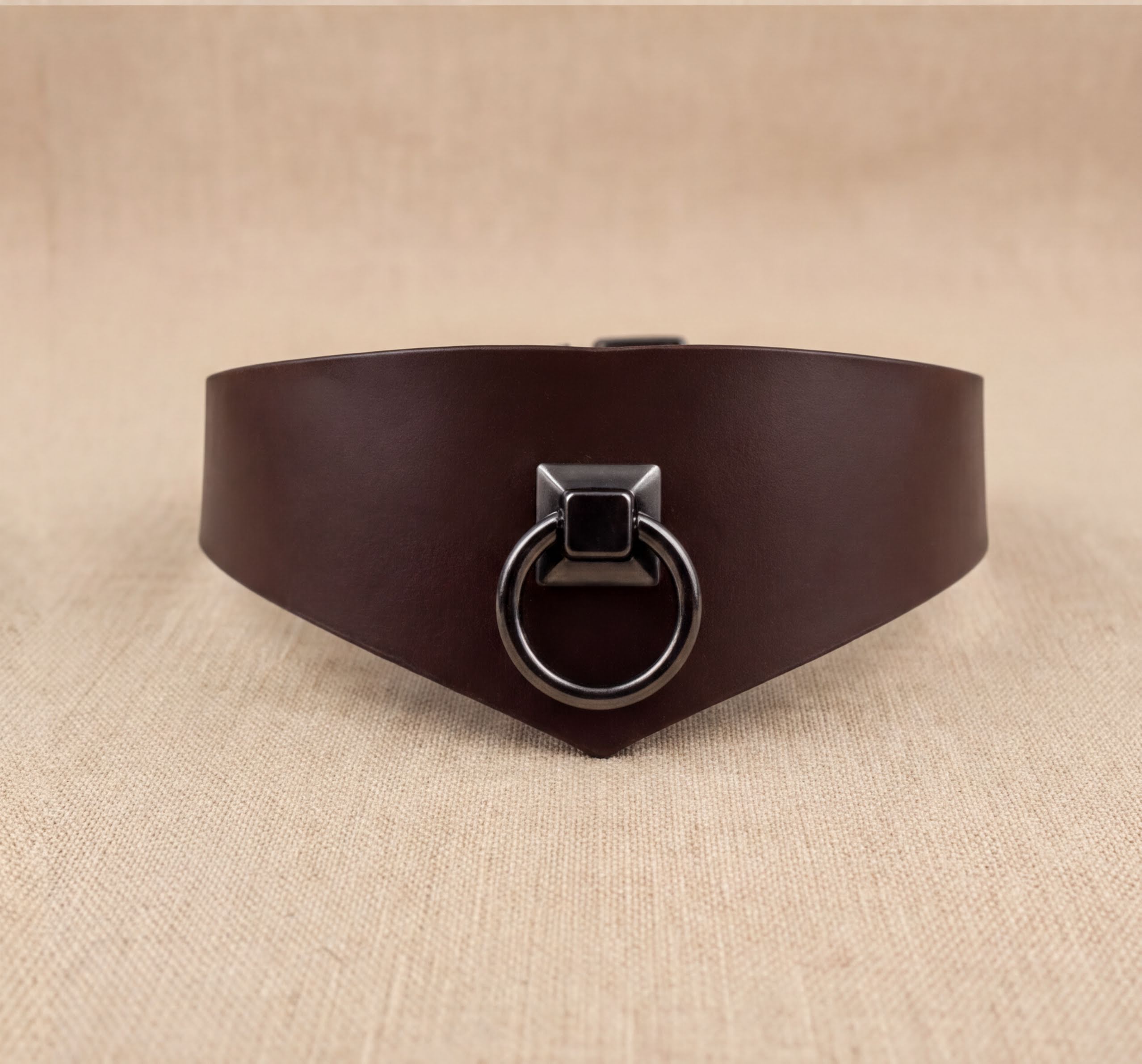 A brown leather choker necklace with a metal ring and a square-shaped metal piece on the front.
