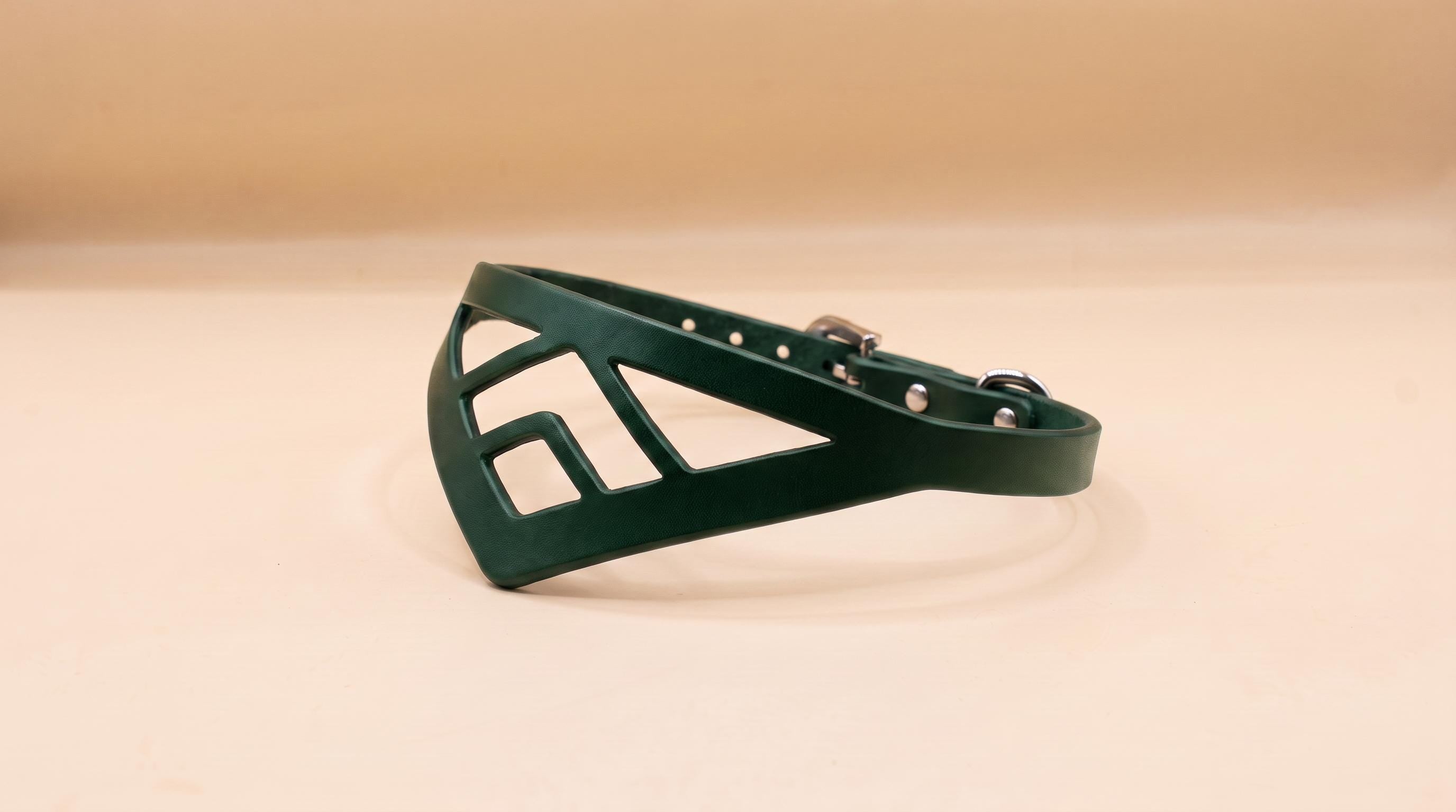 A green, geometric-shaped collar or strap is shown against a light background.