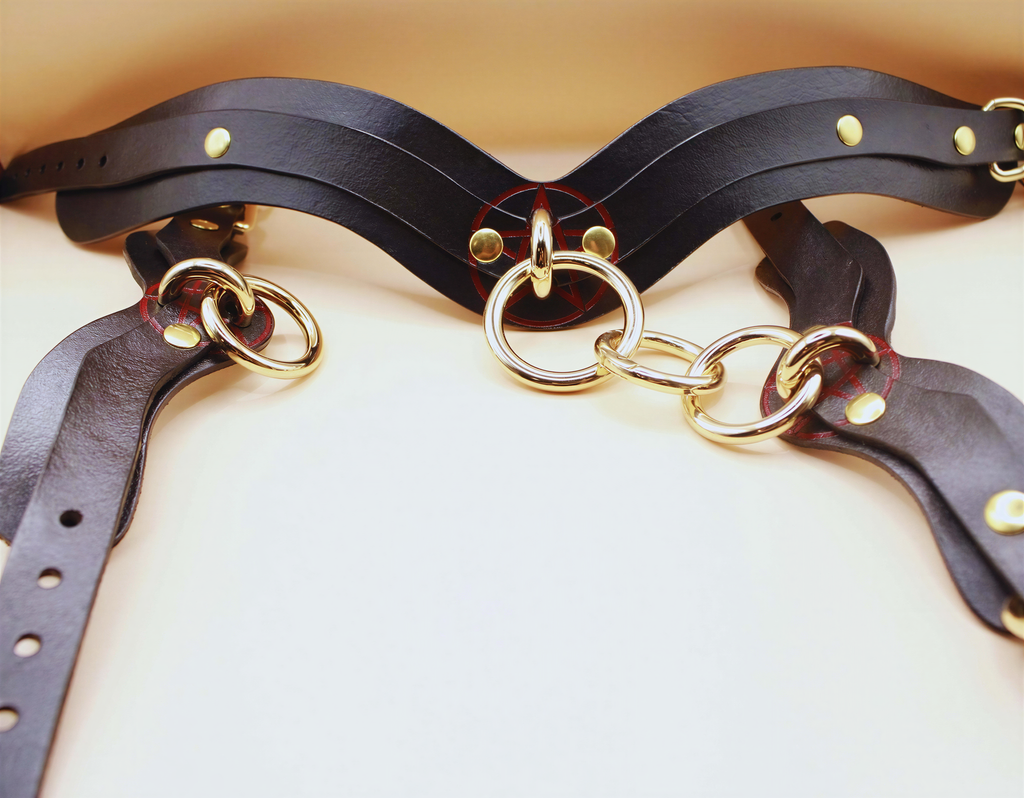 Luxurious leather bondage harness featuring gold rings and adjustable straps for BDSM play and erotic lingerie.