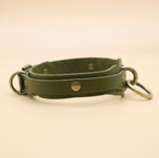 A green leather collar with metal rings and buckles.