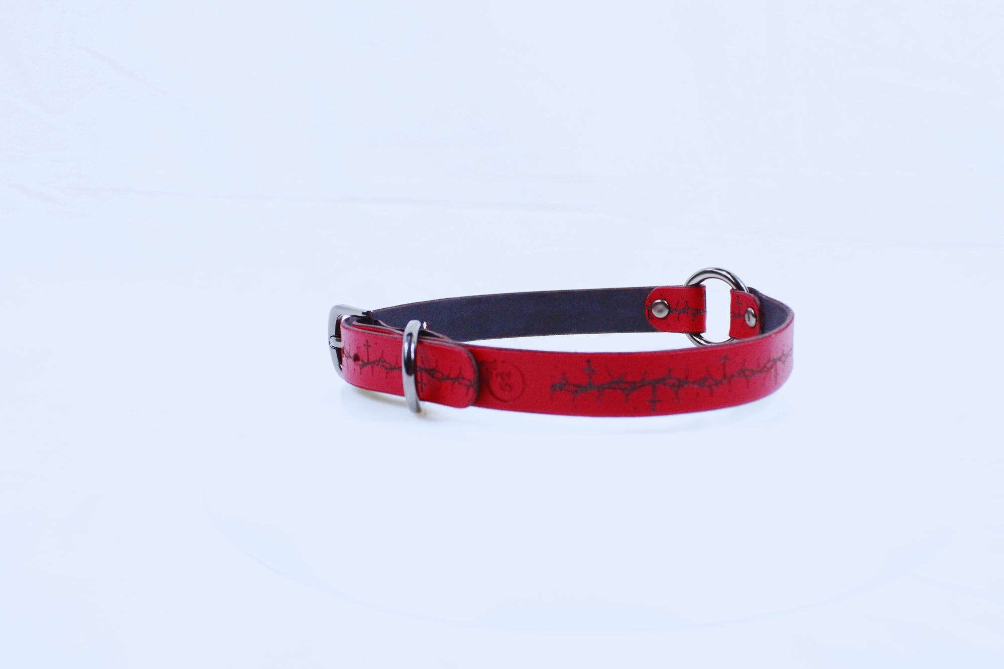 A red leather dog collar with a black metal buckle and two metal rings on the top.
