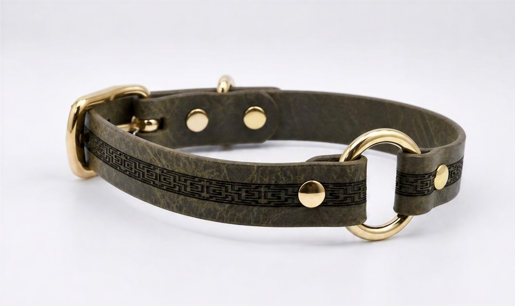 A brown leather dog collar with a gold-colored buckle and two gold-colored rings.