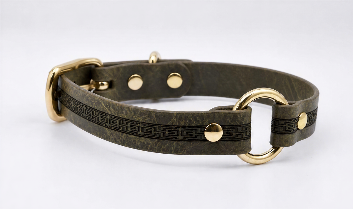 A brown leather dog collar with a gold-colored buckle and two gold-colored rings.