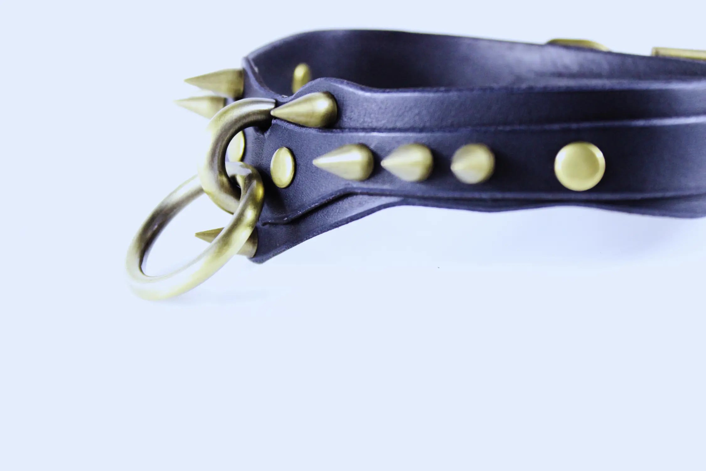 A close-up view of a black leather collar with gold studs and a metal ring.