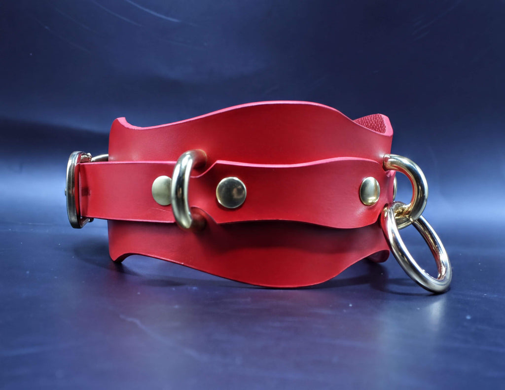A red leather collar with gold hardware, including two rings and two buckles, is displayed against a dark blue background.