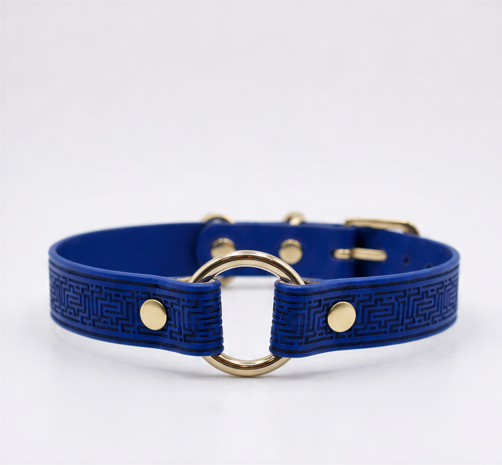 A blue leather dog collar with a gold-colored metal ring and buckle.