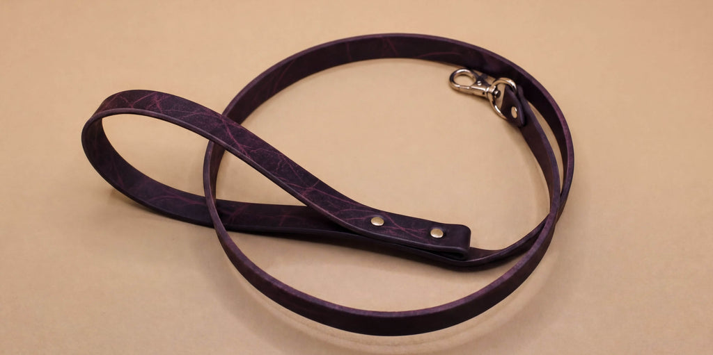 A purple leash with a silver buckle is shown on a beige surface.
