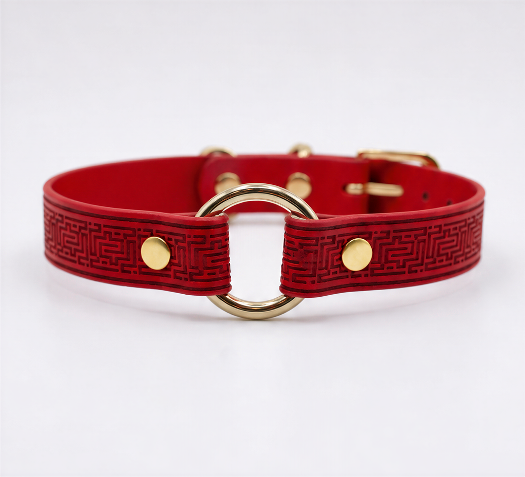 A red leather collar with a gold-colored metal ring and buckle.