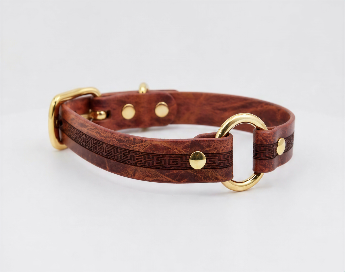 A brown leather dog collar with a gold-colored buckle and ring.