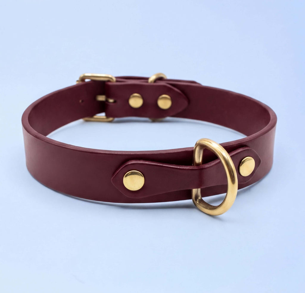 A burgundy leather dog collar with a gold-colored buckle and ring.