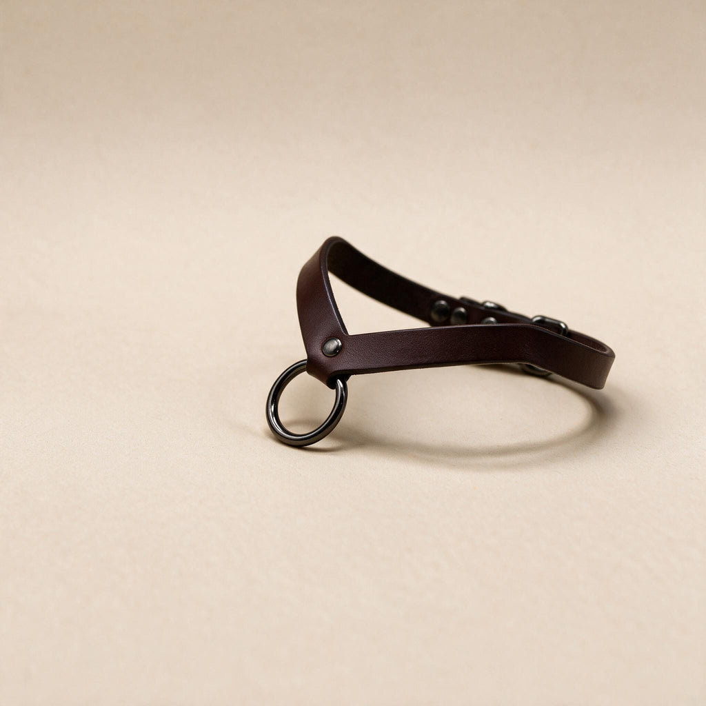 A brown leather collar with a metal ring and buckle is shown against a light beige background.