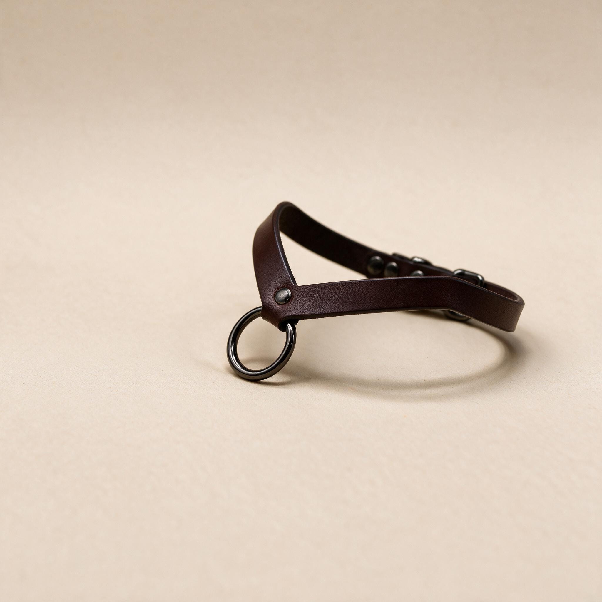 A brown leather collar with a metal ring and buckle is shown against a light beige background.