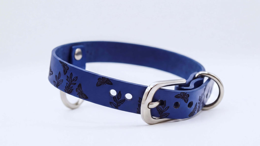A blue leather dog collar with a silver buckle and a floral pattern.