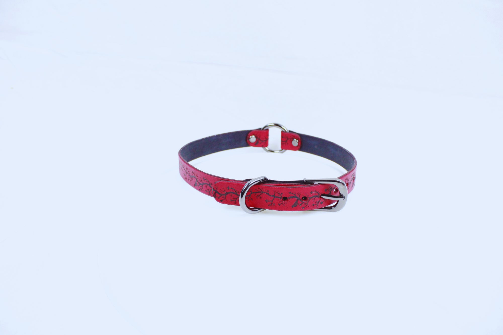 A red leather collar with a silver buckle is shown against a white background.