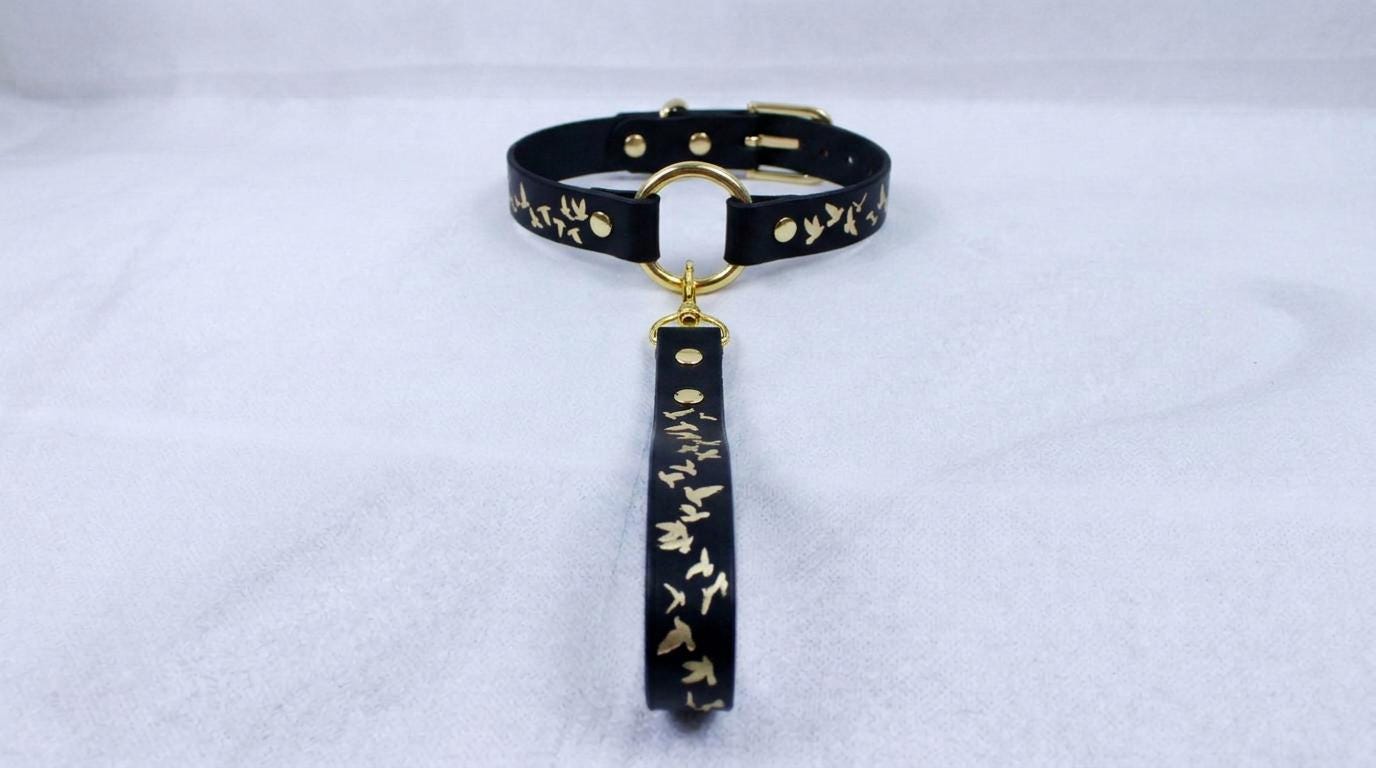 A black leather collar with gold accents and a gold-colored loop hanging from it.