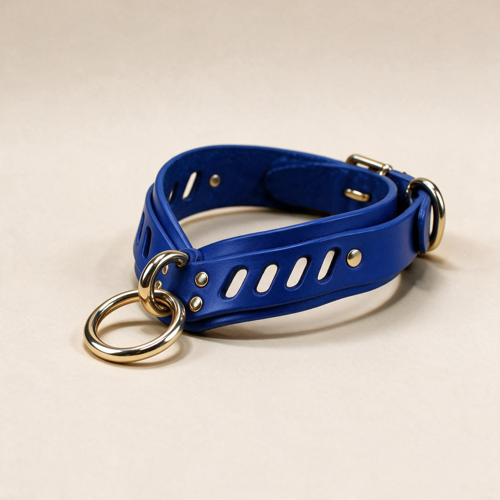 A blue leather choker necklace with a gold-colored ring and buckle.